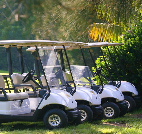 The Vale Golf Course - Accommodation Newcastle 0