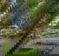 The Falls Walk Budderoo National Park - Accommodation Newcastle