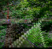 Thunderbird Park  - Tamborine Mountain Gold Coast Region - Accommodation Newcastle