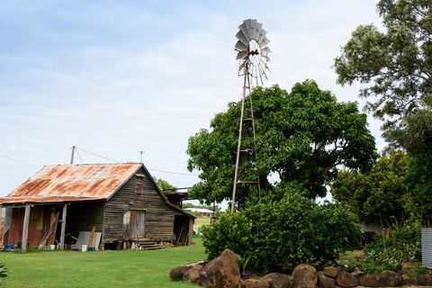 Tinaberries - Accommodation Newcastle 1