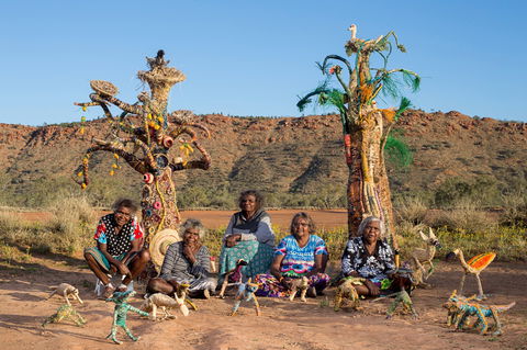 Tjanpi Desert Weavers - Accommodation Newcastle 0