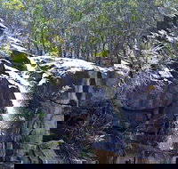 Ugly Corner Falls Walking Track - Accommodation Newcastle