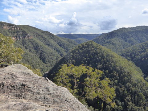 Vale Of Avoca - Accommodation Newcastle 0