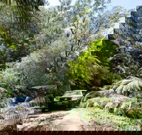 Wadbilliga Road drive - Accommodation Newcastle