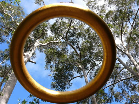 Walpole Wilderness Discovery Centre - Accommodation Newcastle 2