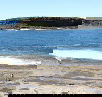 Wasp Head Picnic Area - Accommodation Newcastle