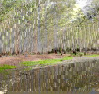 Wonga Wetlands - Accommodation Newcastle