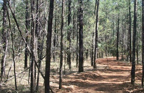 Yana-y Warruwi Walking Track - Accommodation Newcastle 0