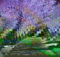 Alowyn Gardens and Nursery - Accommodation Newcastle