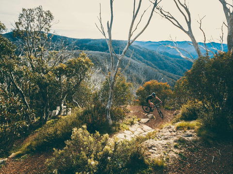 Australian Alpine Epic Mountain Bike Trail - Accommodation Newcastle 1