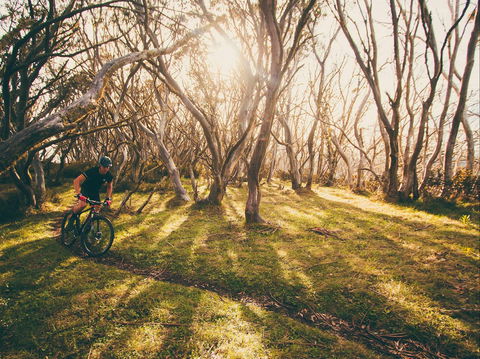 Australian Alpine Epic Mountain Bike Trail - Accommodation Newcastle 2