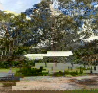 Back Creek picnic area - Accommodation Newcastle
