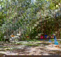 Ballina Disc Golf - Accommodation Newcastle