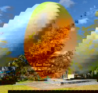 Big Mango - Accommodation Newcastle