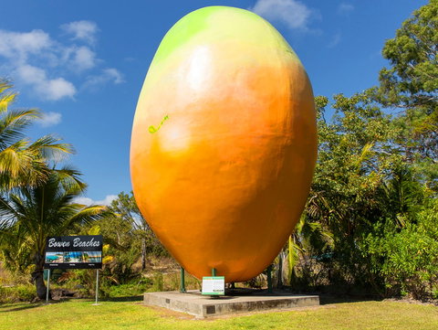 Big Mango - Accommodation Newcastle 0