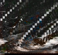 Boomerang Farm Bike Park - Accommodation Newcastle