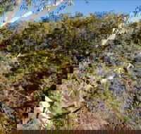 Boonoo Boonoo Falls picnic area - Accommodation Newcastle