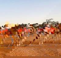 Broken Hill Camels - Accommodation Newcastle