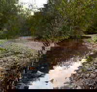 Budawang National Park - Accommodation Newcastle