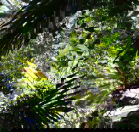 Byrrill Creek Walking Track - Accommodation Newcastle
