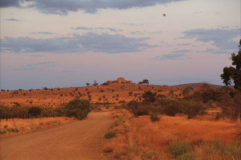 Castle Rock Walk And Lookout - Accommodation Newcastle 0