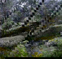 Cathedral Rock Track - Accommodation Newcastle