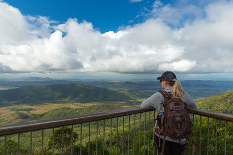 Cathu State Forest - Accommodation Newcastle 0