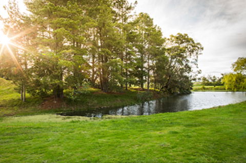 Curlewis Golf Club & The Range At Curlewis The Bellarine - Accommodation Newcastle 1