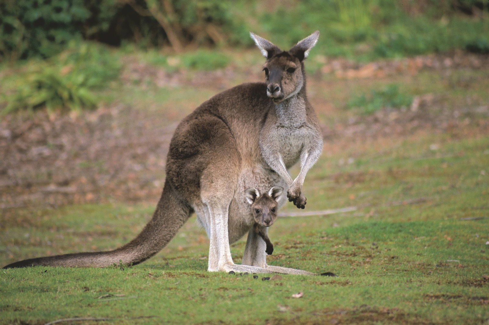 South West WA Accommodation Newcastle
