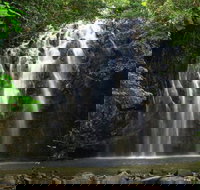 Ellinjaa Falls - Accommodation Newcastle