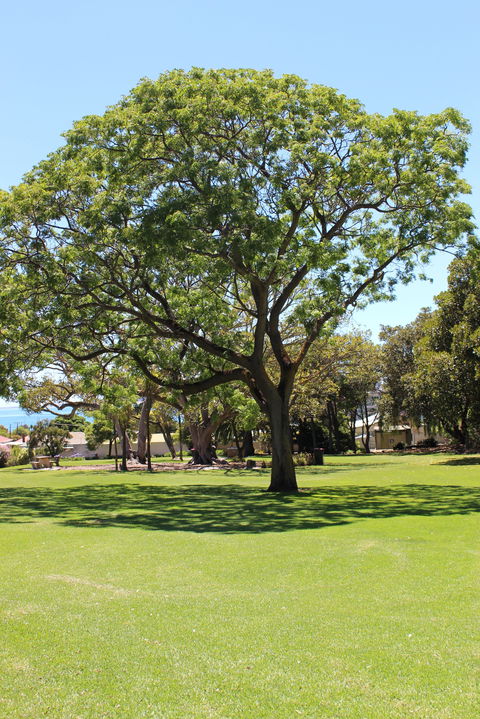 Flinders Park Playground - Accommodation Newcastle 0