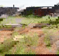 Ghans Bore No7 Govt Bore - Accommodation Newcastle