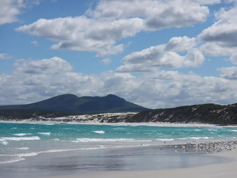 Hakea Walk Trail, East Fitzgerald National Park - Accommodation Newcastle 0