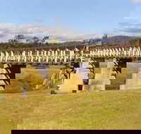 Historic Tabulam DeBurgh Timber Bridge - Accommodation Newcastle