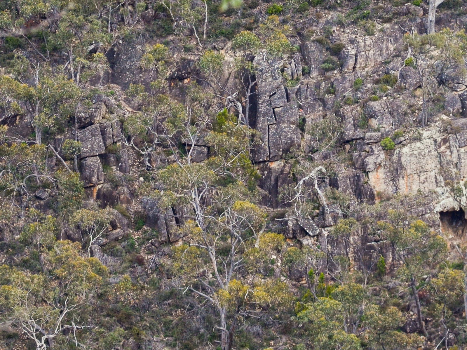 Horsnell Gully SA Accommodation Newcastle