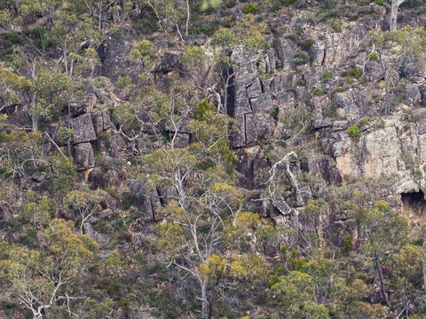 Horsnell Gully And Giles Conservation Parks - Accommodation Newcastle 0