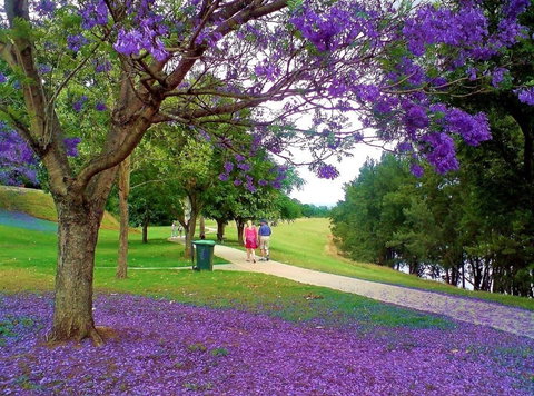 Howe Park - Accommodation Newcastle 0