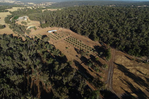 Julimar Date Garden - Accommodation Newcastle 0