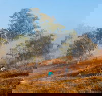 Kambah Pool to Pine Island Walking Trail - Accommodation Newcastle
