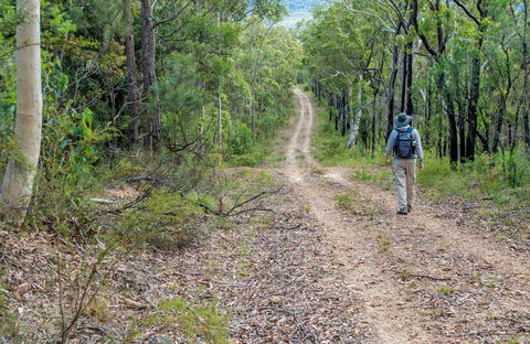 Kangaroo River Walking Track - Accommodation Newcastle 0