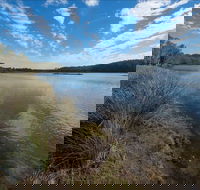 Lake Innes Nature Reserve - Accommodation Newcastle