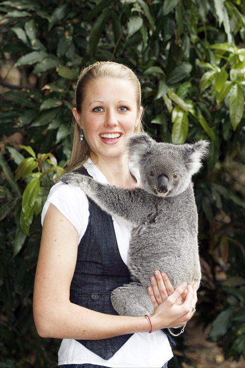 Lone Pine Koala Sanctuary - Accommodation Newcastle 1