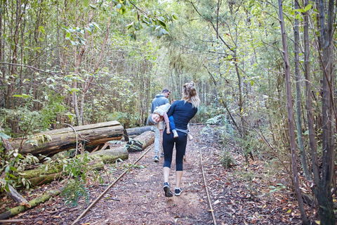 Lyrebird Circuit Walk - Accommodation Newcastle 1