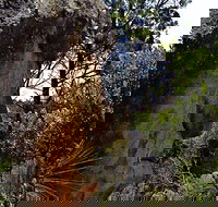 Mystery Face Walking Track - Accommodation Newcastle