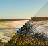 Narrawallee Creek Nature Reserve - Accommodation Newcastle