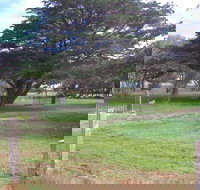 Old Cemetery Kingscote - Accommodation Newcastle