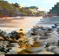 One Man Bluff - Accommodation Newcastle