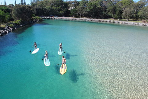 Paddleboard At Back Creek South West Rocks - Accommodation Newcastle 0