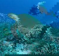 Pams Point - Accommodation Newcastle