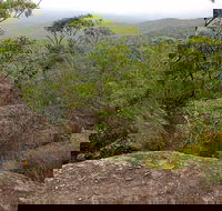 Pigeon House Mountain Didthul Walking Track - Accommodation Newcastle
